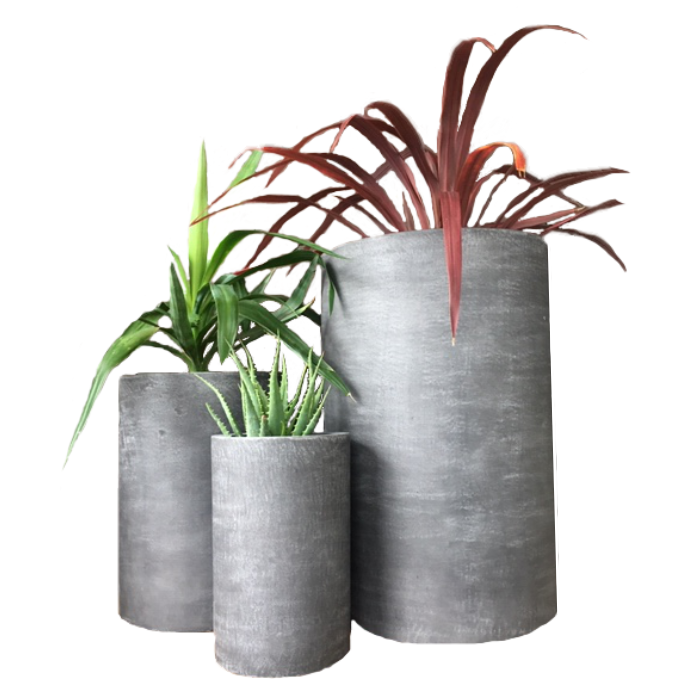 Cylinder Dark Concrete